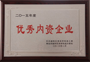 2015年度優(yōu)秀內(nèi)資企業(yè)