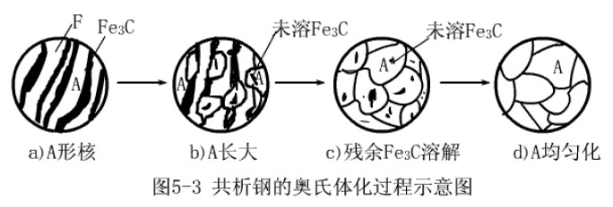 共析鋼奧氏體化的過程示意圖
