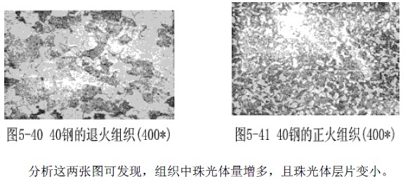 正火組織照片